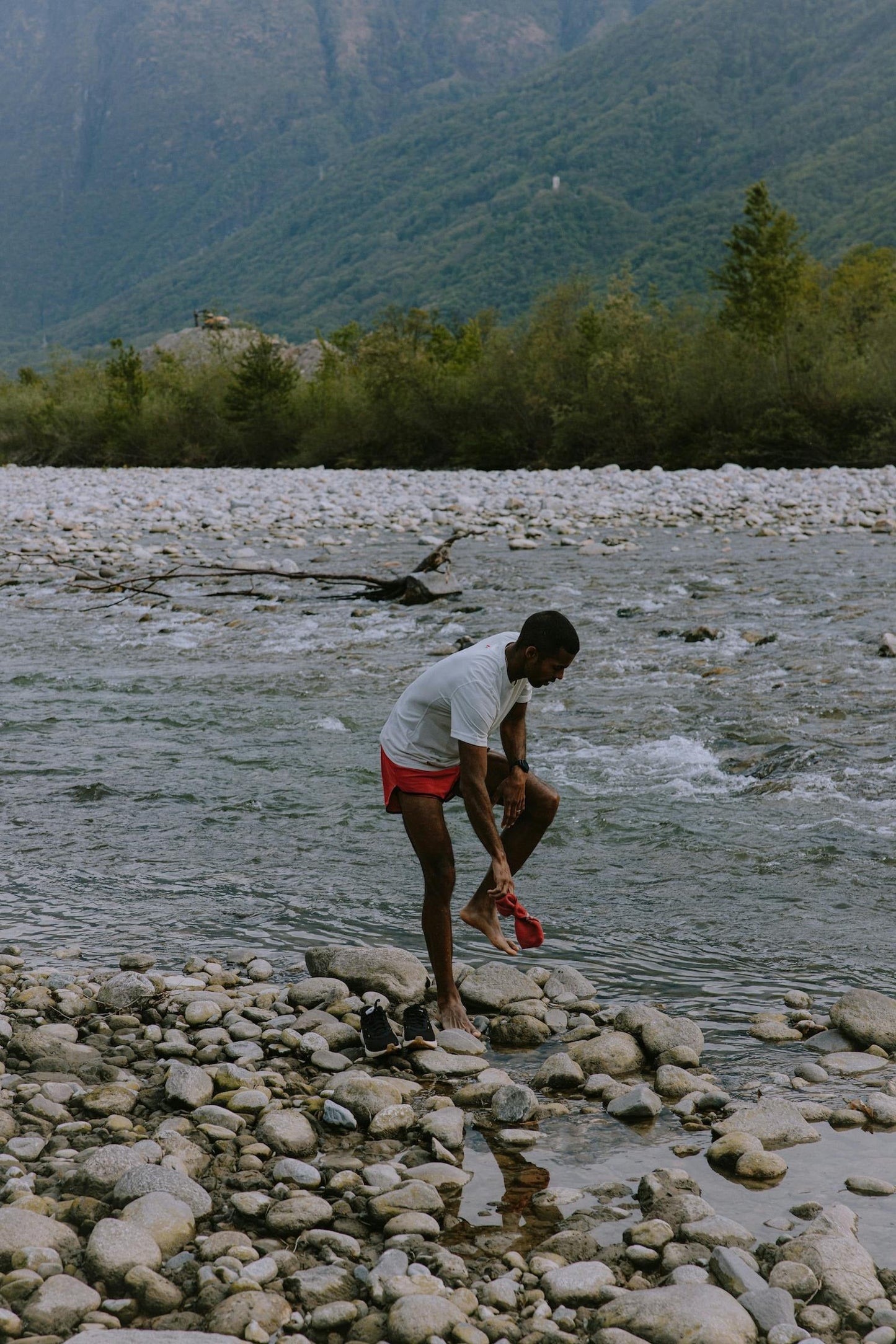 Merino No Show Sock