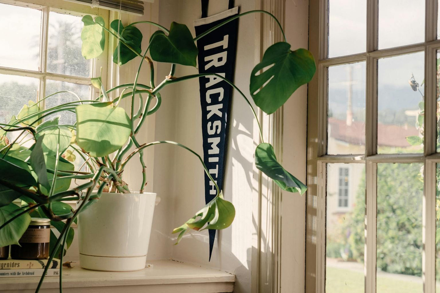 Pennants