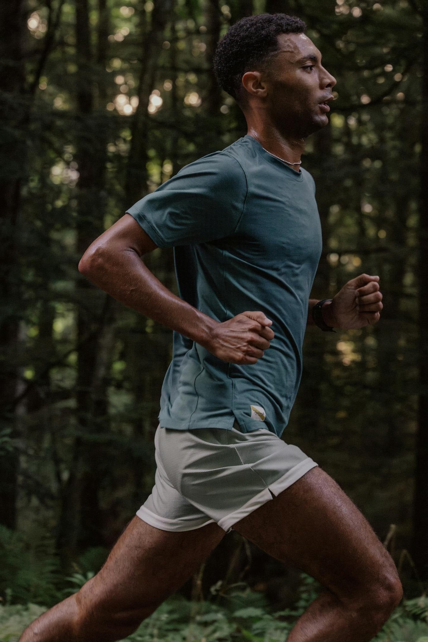 Van Cortlandt Grand Shorts