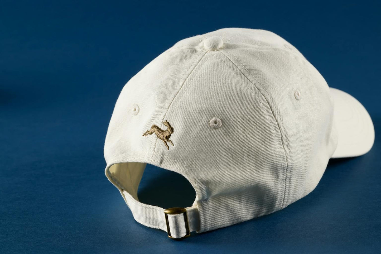 Tracksmith Script Hat
