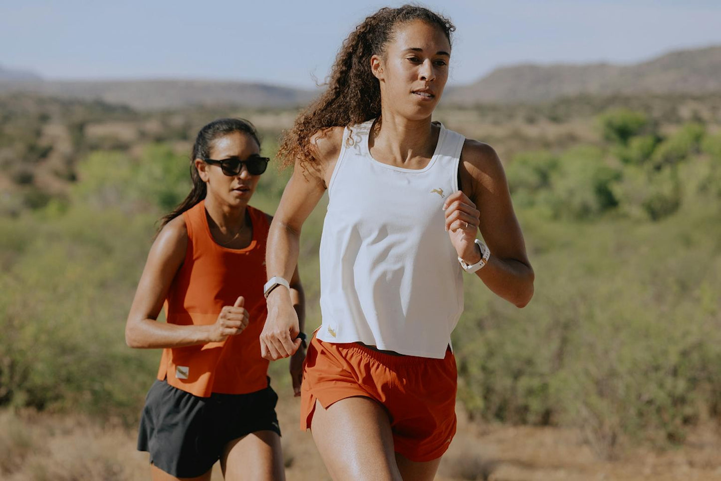 Meridian Shorts