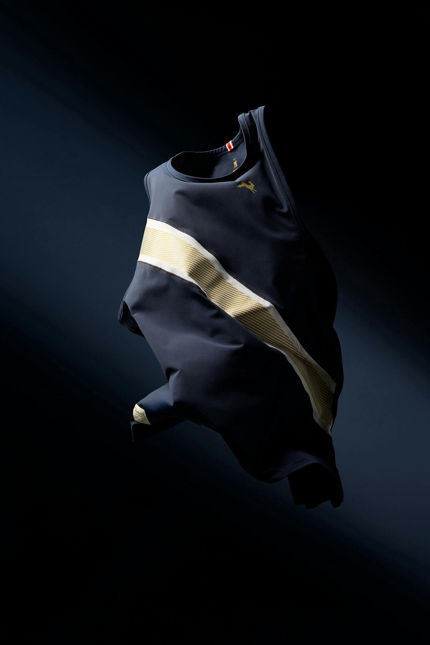 Strata Singlet