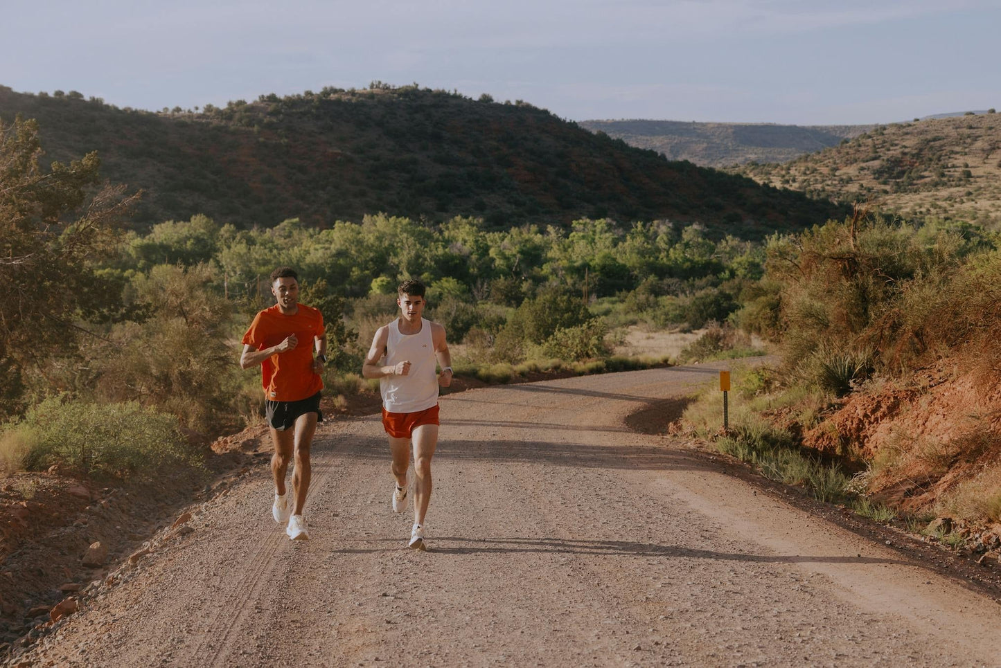 Meridian Tee