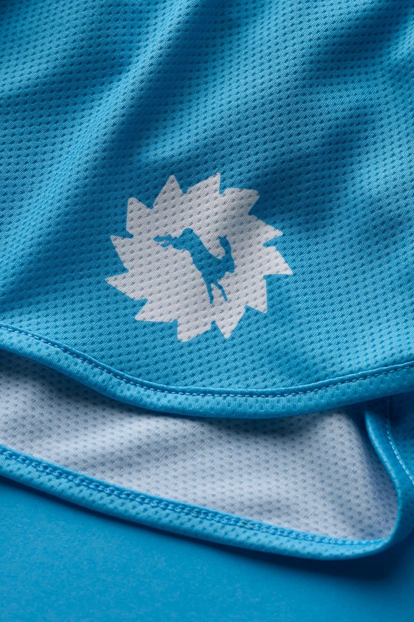 Chicago Shorts