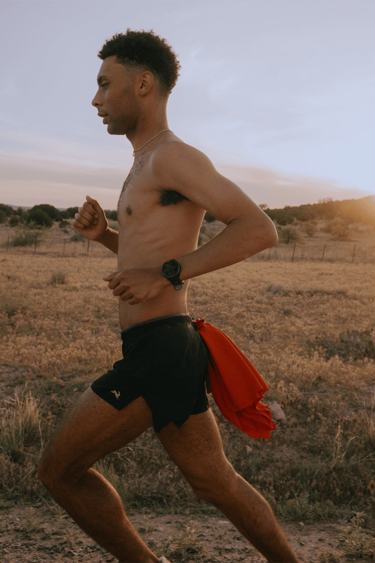 Meridian Shorts