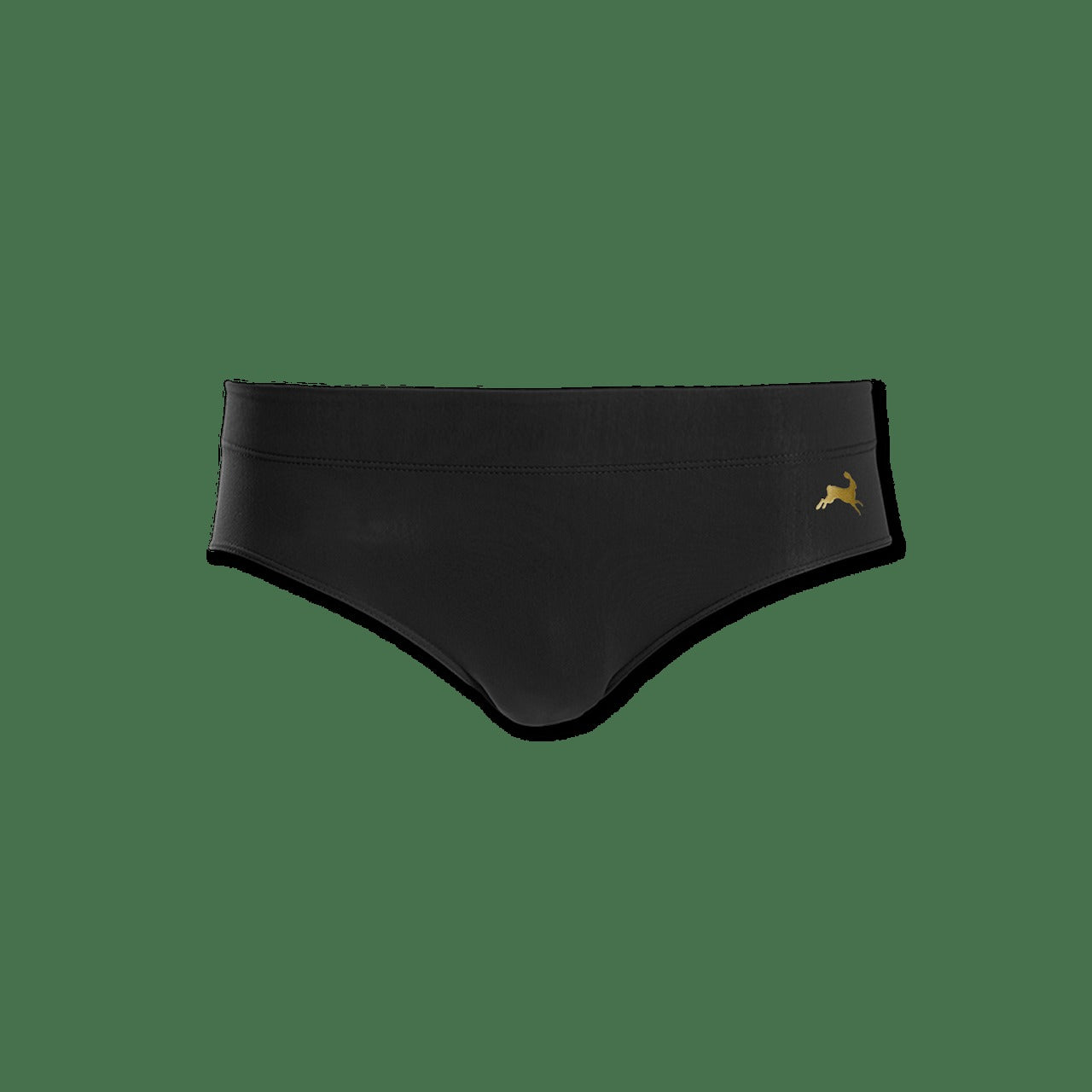 Race Brief