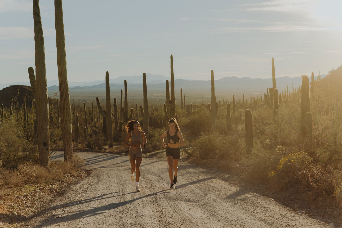 Twilight Short Tights