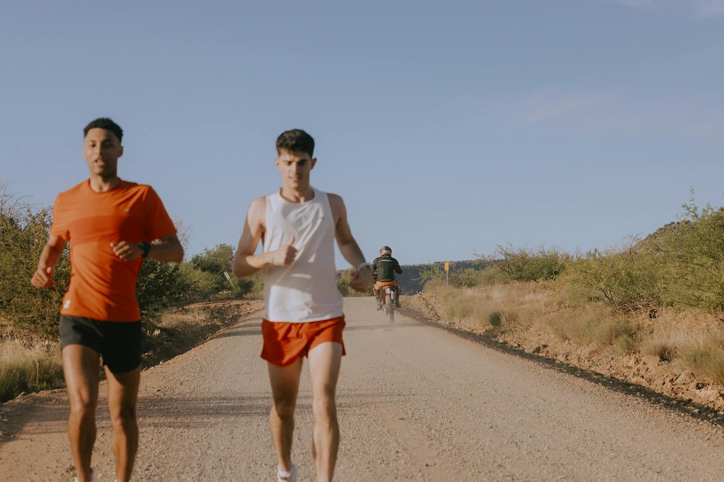 Meridian Shorts