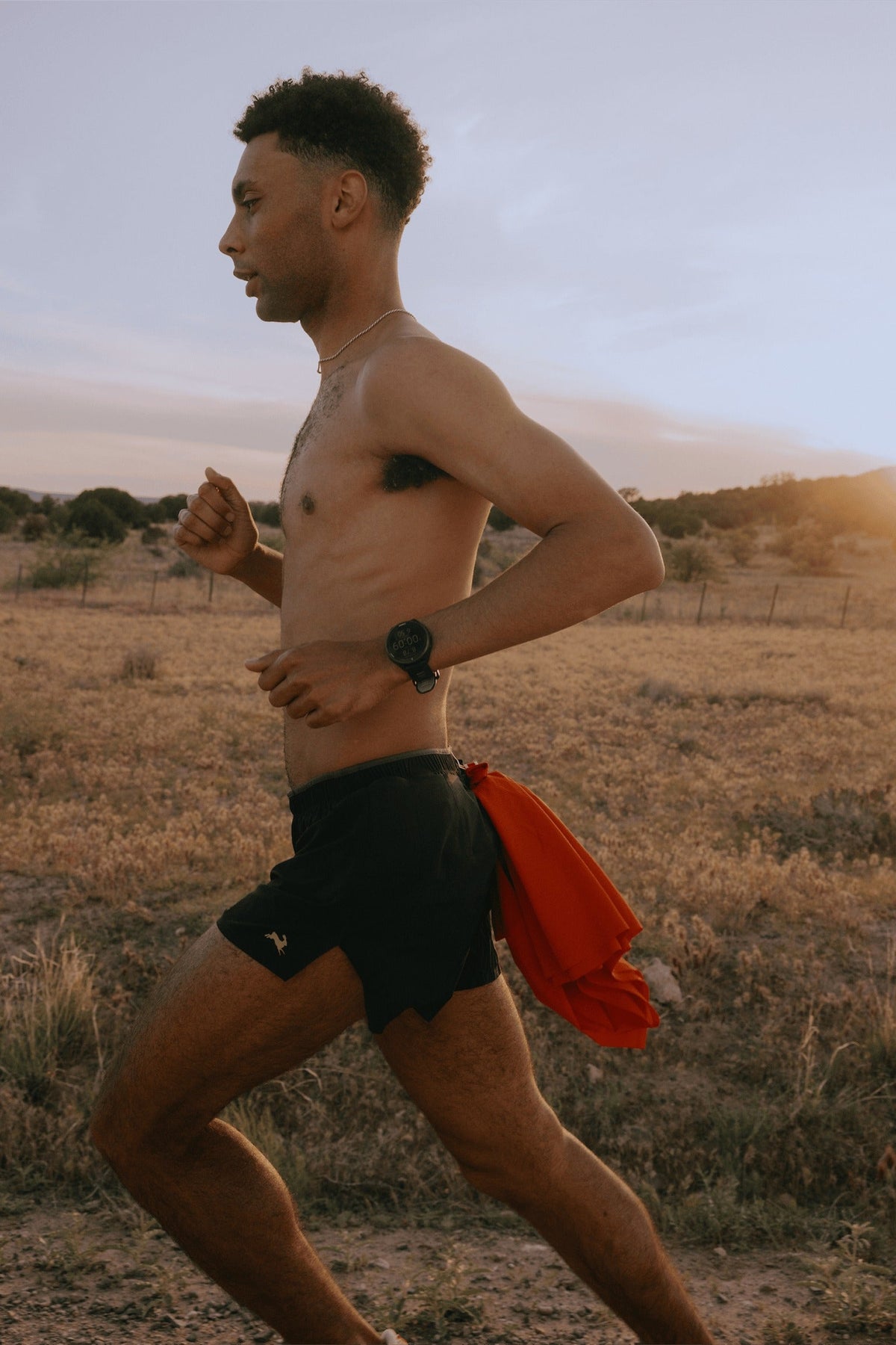 Meridian Shorts