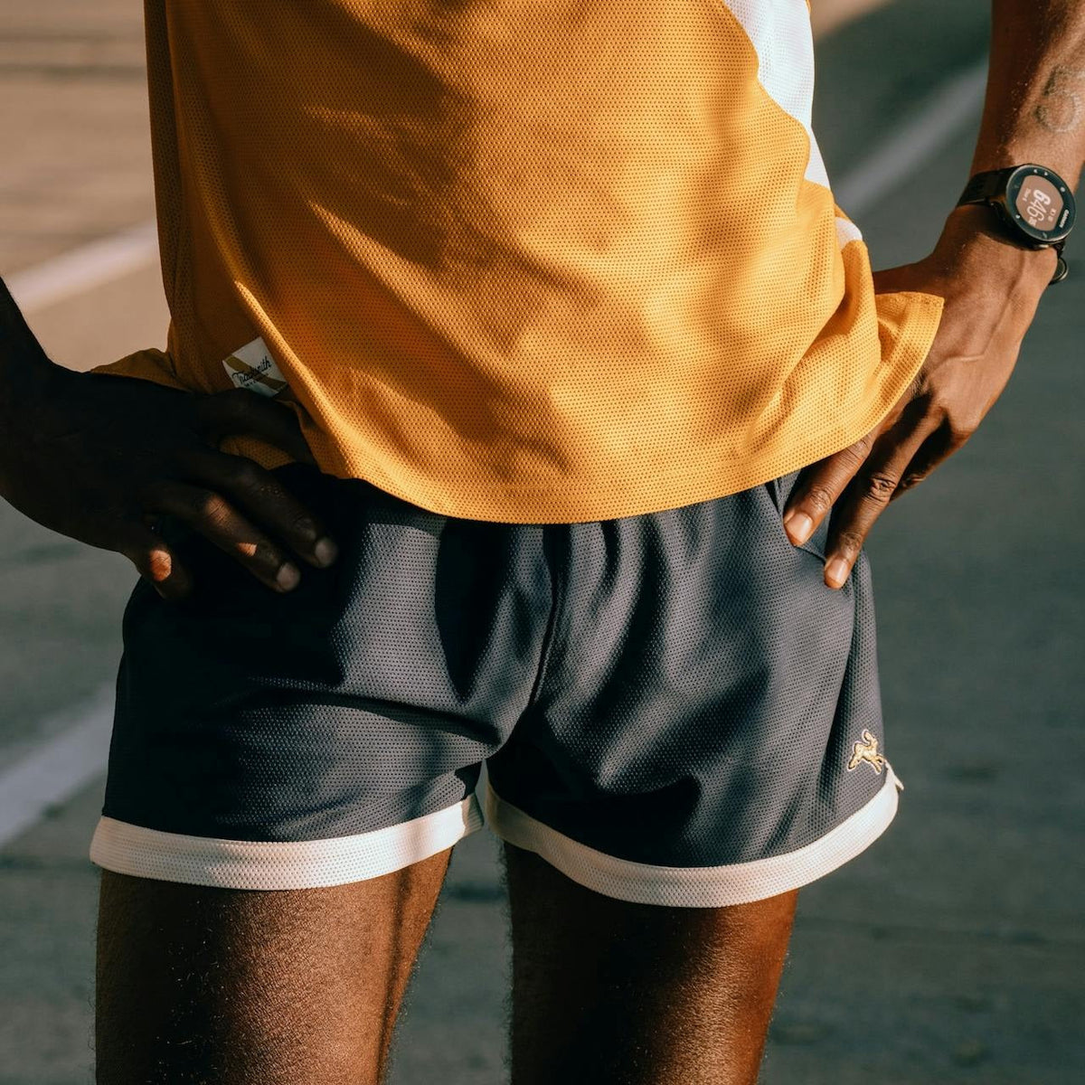 Van Cortlandt Grand Shorts