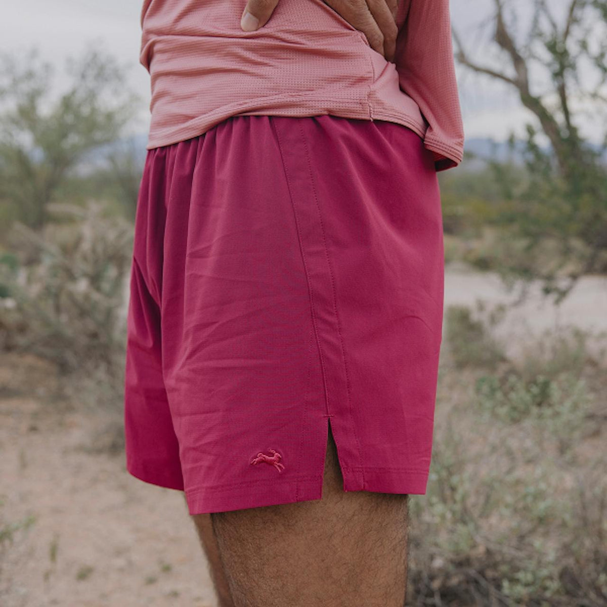 Twilight Shorts