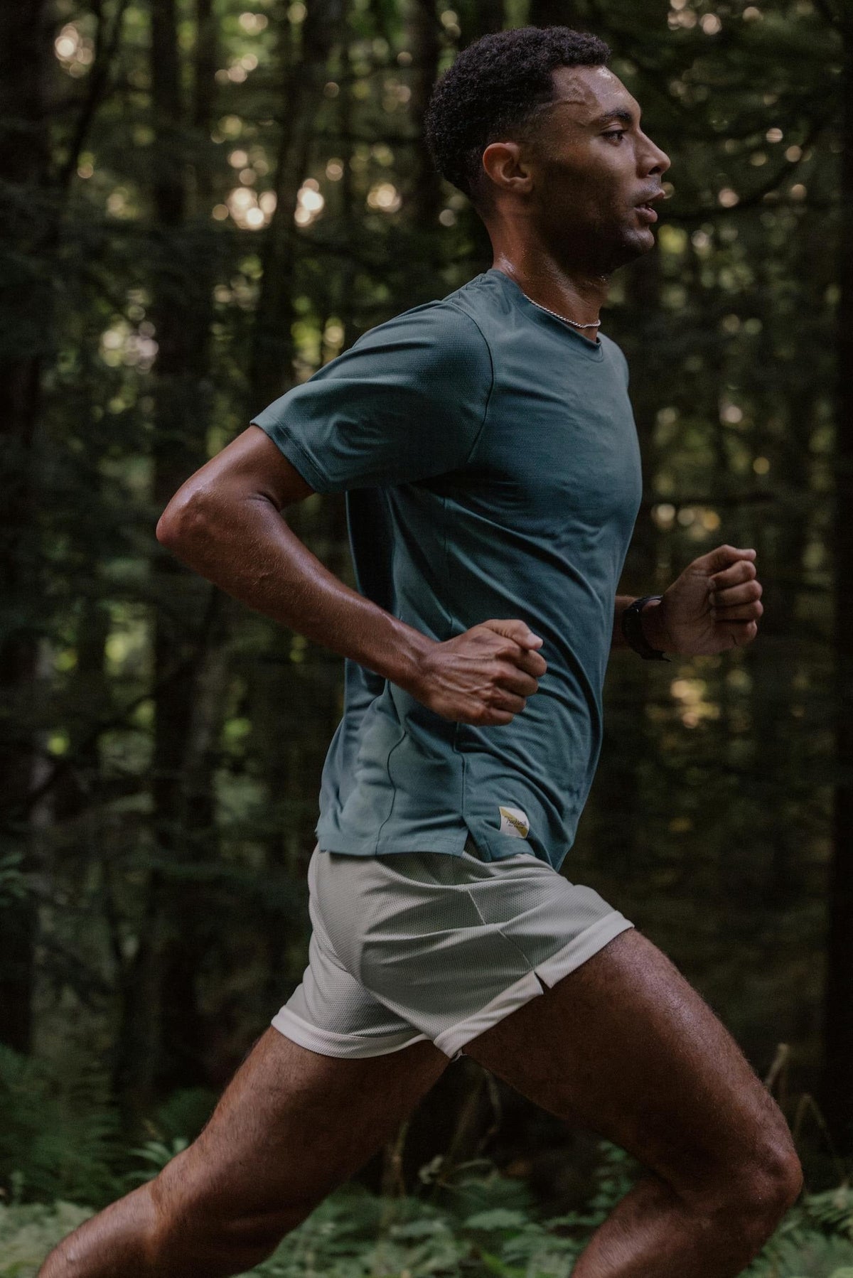 Van Cortlandt Grand Shorts
