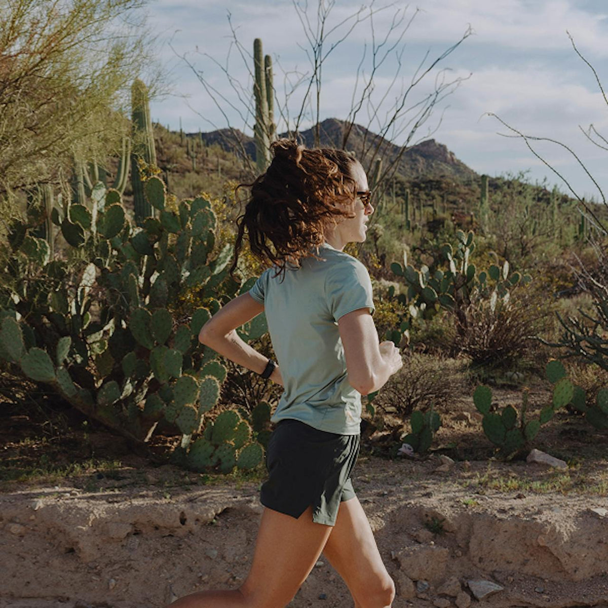 Twilight Shorts