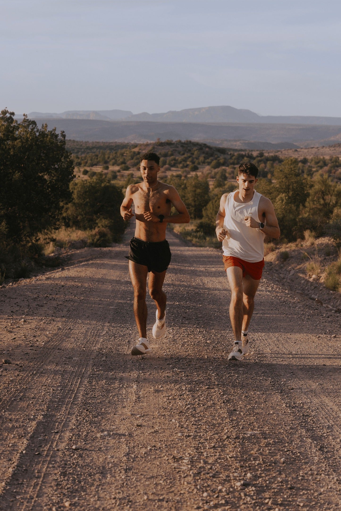 Meridian Shorts